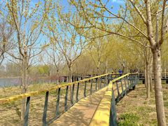 -东郊湿地公园