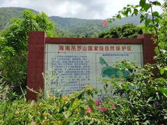 -海南热带雨林国家公园吊罗山景区