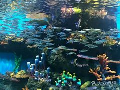 -华夏文旅海洋公园