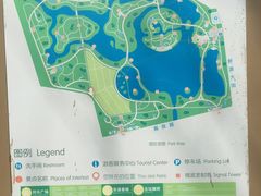 -大兴滨河森林公园