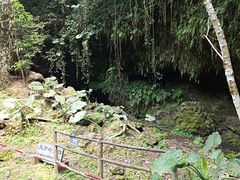 -海口火山口国家地质公园