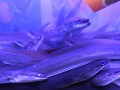 -竹马炭火烤肉(利济北路店)