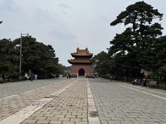 -北陵公园