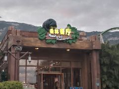 -雨林餐厅(长隆海洋王国店)