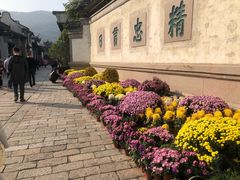 -秦园惠山豆腐花(惠山古镇店)
