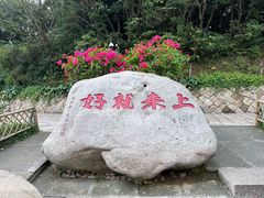 -普陀山风景区-佛顶山