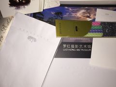 -BLACKSWAN黑天鹅(环球店)