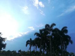 -漳州云洞岩风景区-瑞竹岩