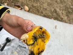 蔓越莓果干-纯坊佳哥手作(江汉路店)