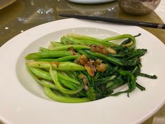 迟菜心-东豪园林海鲜酒家(南港路辅路店)