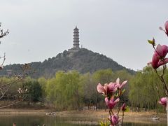 -北坞公园