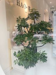 -HAO美皮肤管理·美甲美睫