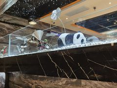 -红辣椒·川菜·火锅(张杨路店)