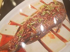 -新概念文景酒楼(文景北路店)