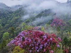 -石潭村