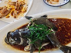 老虎斑-湛江渔港·大排档(乐园路总店)