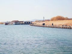 -苏州太湖湖滨国家湿地公园