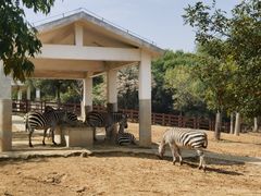 -石家庄市动物园