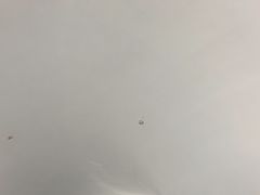 -ほうとう不動(東恋路店)