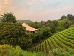 -帐篷客·溪龙茶谷度假酒店