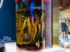 -半岛听涛蒸汽海鲜自助(K11店)