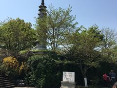 -白塔公园-儿童游乐园