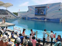 -北戴河圣蓝海洋公园