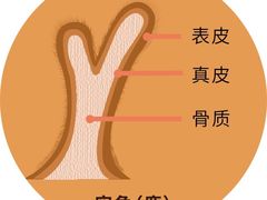 -昆明动物园