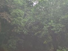 -龙颈河漂流