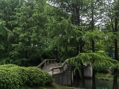 -尚贤河湿地