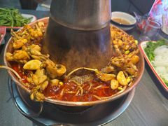 -超越炭火牛蛙火锅鸡(河东店)