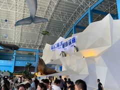 -泉城欧乐堡海洋极地世界