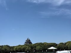 -金鸡湖桃花岛