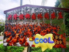 -兴隆槟榔园休闲农庄