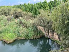 -捞渔河湿地公园