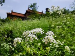 -南京市江宁方山