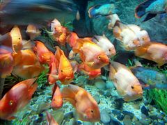 -福州罗源湾海洋世界旅游区