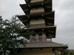 -海花岛旅游度假区