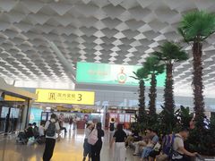 -郑州新郑国际机场-T2航站楼
