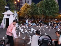 -宝业东城广场(东二环路店)
