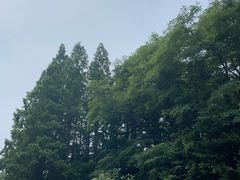 -棒棰岛宾馆景区