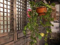 -文儒九号·闽菜馆(三坊七巷店)