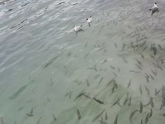 -青海湖二郎剑景区