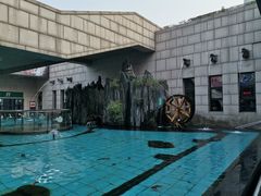 景点-陕西自然博物馆