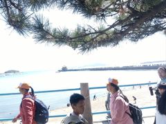 -青岛海滨风景区