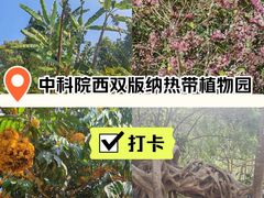 -中国科学院西双版纳热带植物园