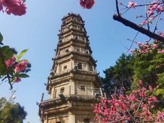 -船政文化景区-罗星塔公园