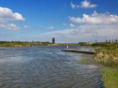 -春花秋色城市公园