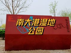 -南大港湿地风景区