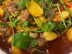 -高坎一品甲鱼庄(两河店)